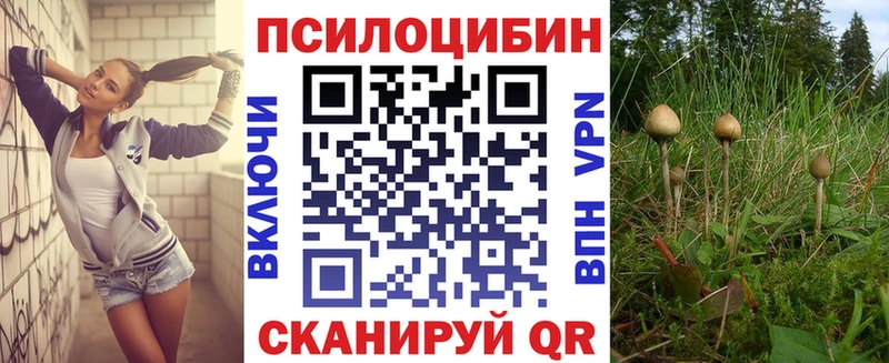 Купить где  Ачхой-Мартан  Псилоцибиновые грибы Psilocybe 