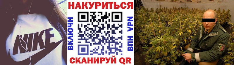 Купить закладки  Ачхой-Мартан  Бошки марихуана семена 